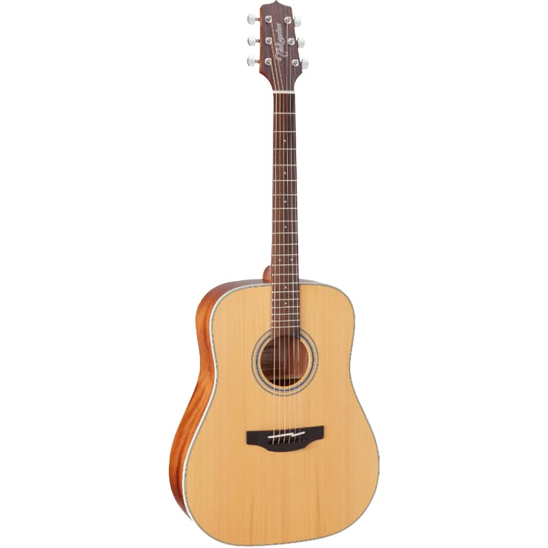 Đàn Guitar Takamine GD20-NS, guitar acoustic
