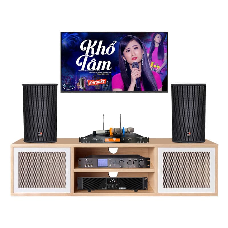 Dàn Karaoke Cao Cấp HDR30 ( Tecnare E10  + Công suất + Vang số + Micro không  dây )