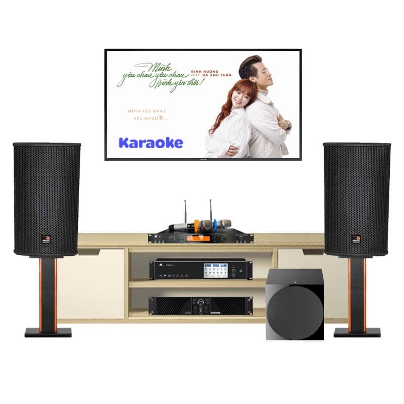Dàn karaoke cao cấp HDR81 ( Tecnare E10, Công suất, Vang số, Micro JKaudio B9, Loa sub )