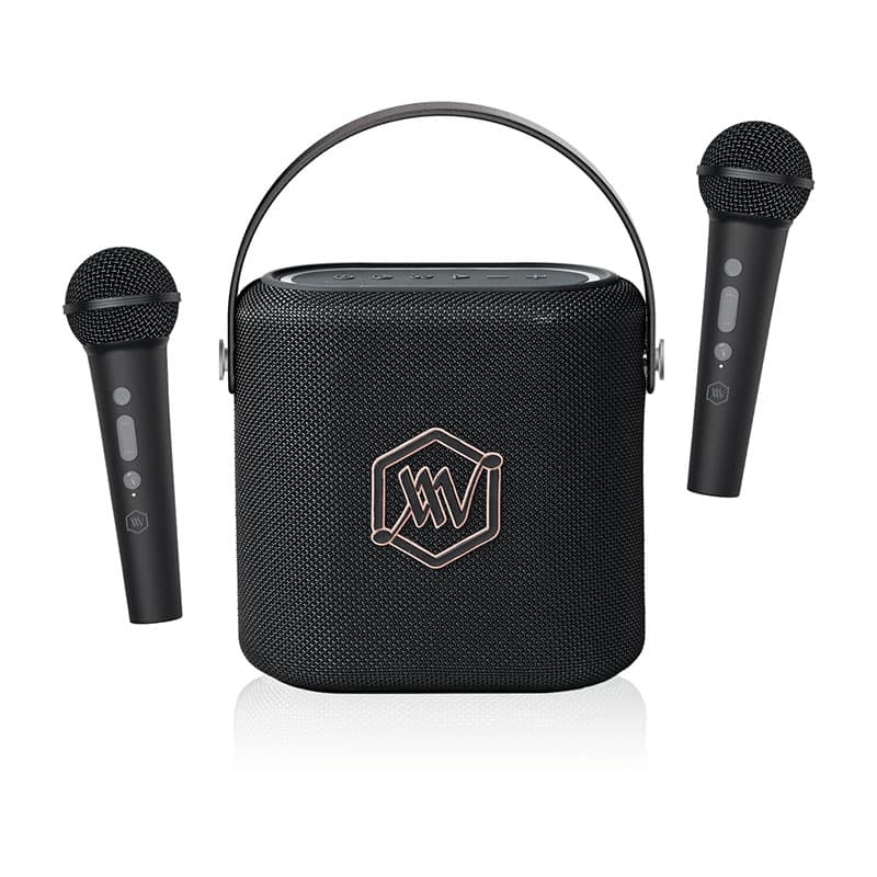 Loa Alpha Works Sonik 60, Pin 6h, 40W, Bluetooth v5.3, AUX, USB