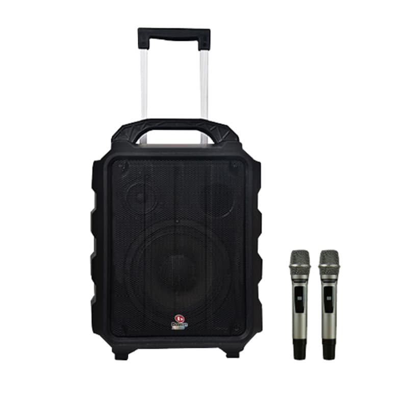 Loa Boston Acoustic H10P