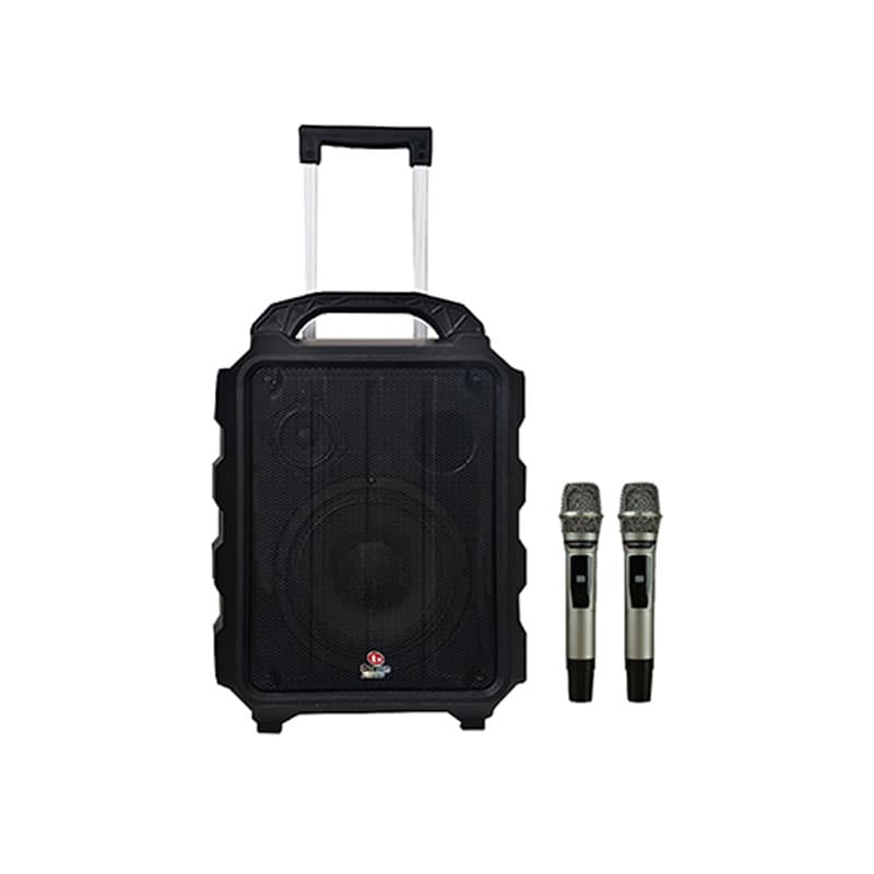 Loa Boston Acoustic H8P