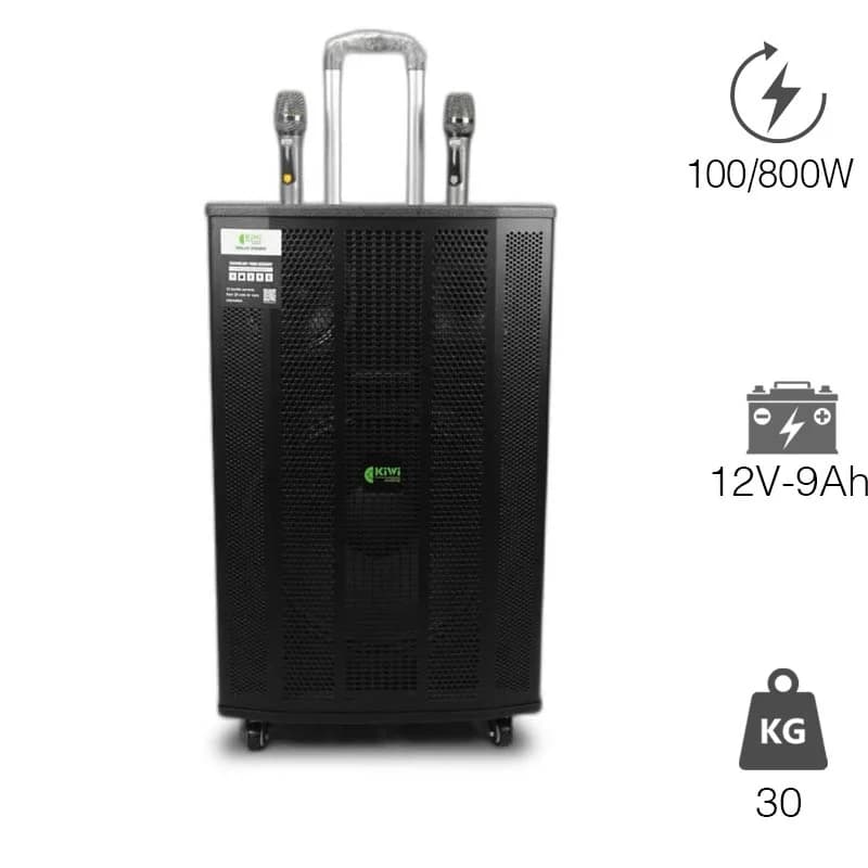 Loa Kiwi XT15, 800W, Bass 40cm, Kèm 2 Tay mic