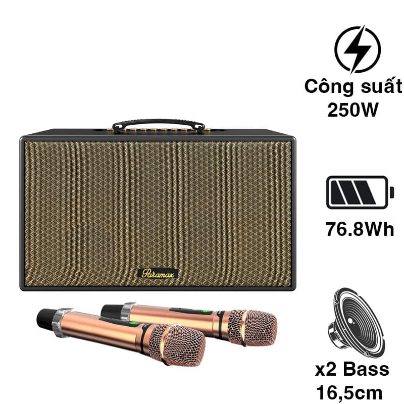 Loa Paramax Aura, Công suất 250W, Pin Từ 3-5 Giờ, Bluetooth 5.3, USB, HDMI (ARC), Optical, AUX, Kèm 2 Micro